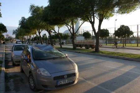 Aşırı rüzgar ağacı seyir halindeki otomobilin üzerine devirdi