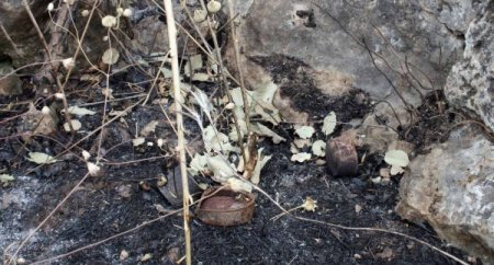 Asker Aynı Tepeyi Yıllarca Üs Olarak Kullanmış