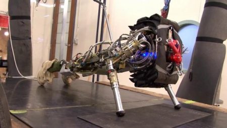 Asker Robot 'Petman' Abd Ordusunda Göreve Başlıyor