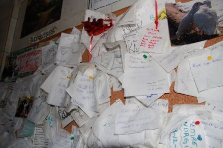 Askerlerin 'şafak'larını yazdığı duvar, şiir köşesine dönüştü