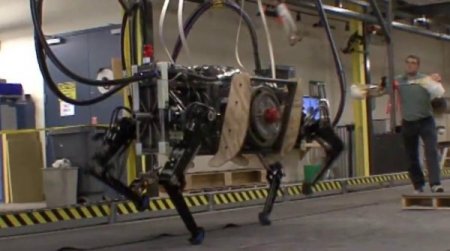 Askerlerin Yeni Yardımcısı 4 Ayaklı Robot ‘alphadog’