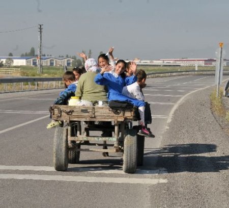 At Arabalı Taşımalı Eğitim