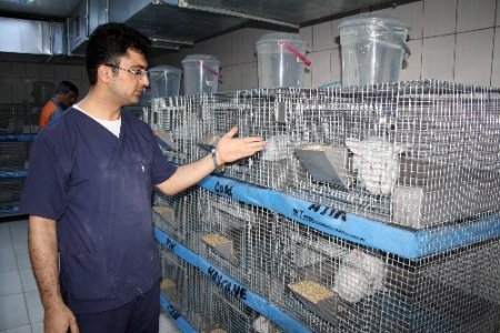 ATADEM, bakanlıktan çalışma izni aldı