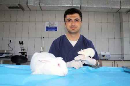 ATADEM, bakanlıktan çalışma izni aldı