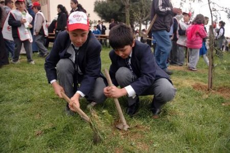 Atatürk İlköğretim Okulu Öğrencileri Fidan Dikti