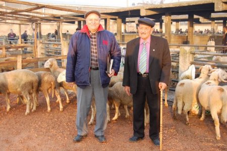 Atatürk'ün Samsun'a çıktığı yıl doğdu, 49 yıldır kurduğu odanın başkanı