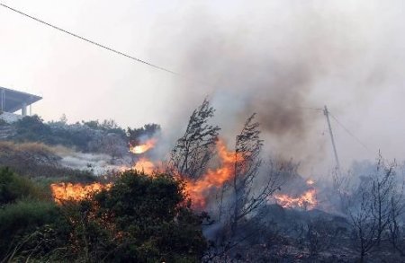 Atina'daki Devasa Yangın Devam Ediyor, Alevler Evlere Ulaştı