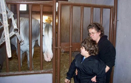 Atla terapi zihinsel engelli çocuklarda stresi azalttı