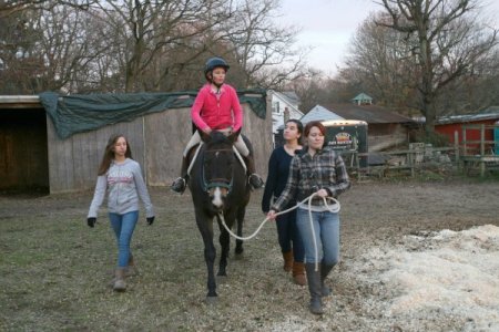 Atlarla gelen sağlık (Özel)