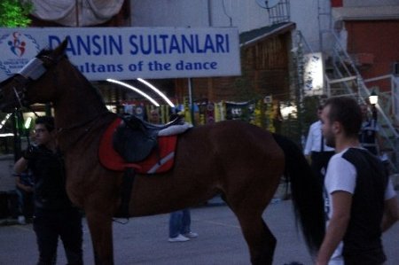 Atlı polis kaza geçirdi