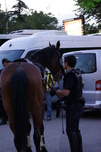 Atlı polis kaza geçirdi