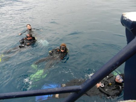 Aü'lü Dalgıçlar, Kemer'de Dalış Yaptı