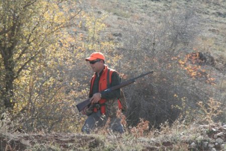Avcılar, keklik popülasyonu azalınca ‘av sezonunun’ kapanmasını istedi