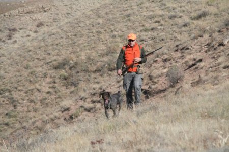 Avcılar, keklik popülasyonu azalınca ‘av sezonunun’ kapanmasını istedi