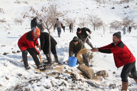 Avcılar doğal hayata yem bıraktı
