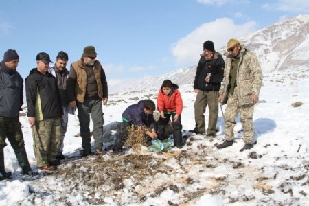 Avcılar doğal hayata yem bıraktı
