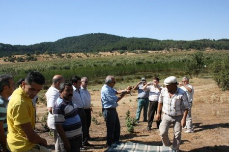 Avcılar Doğaya Sülün Ve Keklik Saldı