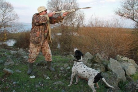 Avcıların ayrılmaz parçası av köpeği