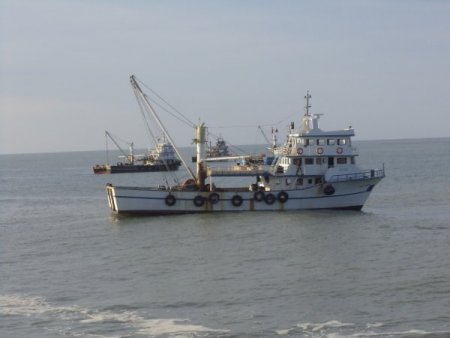 Avlandığı ağlarla kayıp balıkçıyı aradılar