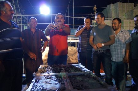 Avlanmama eylemine son veren balıkçılar tonlarca hamsiyle döndü