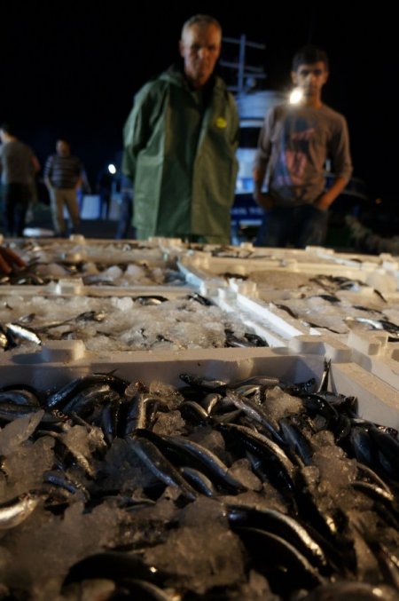 Avlanmama eylemine son veren balıkçılar tonlarca hamsiyle döndü