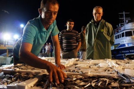 Avlanmama eylemine son veren balıkçılar tonlarca hamsiyle döndü
