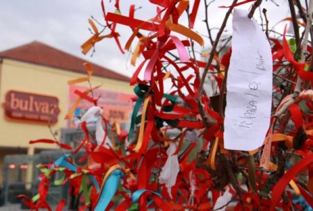 AVM'nin dilek ağaçlarına müftüden eleştiri