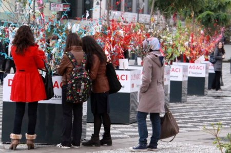 AVM'nin dilek ağaçlarına müftüden eleştiri
