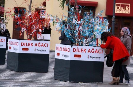 AVM'nin dilek ağaçlarına müftüden eleştiri