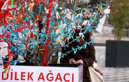 AVM'nin dilek ağaçlarına müftüden eleştiri