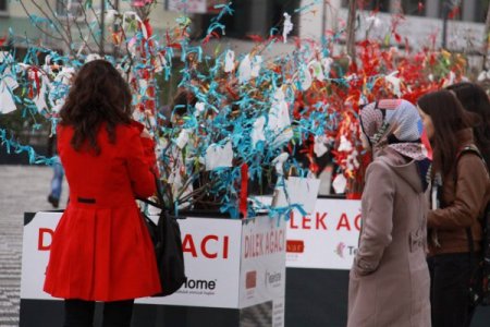 AVM'nin dilek ağaçlarına müftüden eleştiri