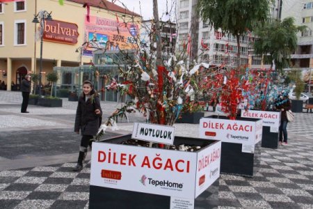 AVM'nin dilek ağaçlarına müftüden eleştiri