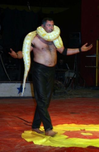 Avrasya Sirki, Nevşehir'de