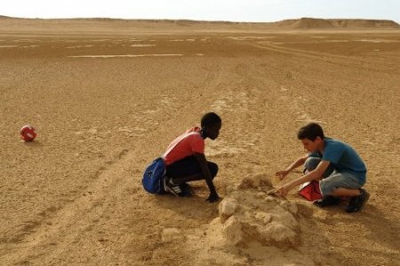 Avrupa’dan 15 seçkin film 13-22 Mayıs tarihleri arasında Karadeniz’e geliyor