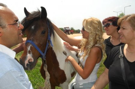 Avrupalılar, Osmangazi'ye Hayran Kaldı