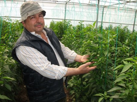 Avrupa'nın jelebonu Antalya'da siparişle üretiliyor