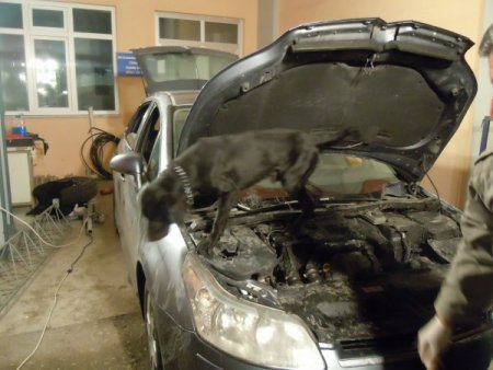 Avrupa'ya Gönderilecek 20 Kilogram Eroini Kont Buldu