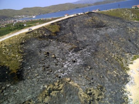 Avşa Ve Erdek'te 150 Hektar Orman Yandı