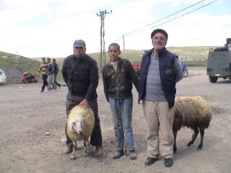 Avşar Kızı, 40 Yıl Sonra Gittiği Köyünde Çifte Kurbanla Karşılandı