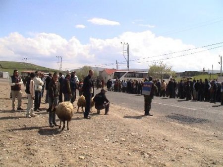 Avşar Kızı, 40 Yıl Sonra Gittiği Köyünde Çifte Kurbanla Karşılandı
