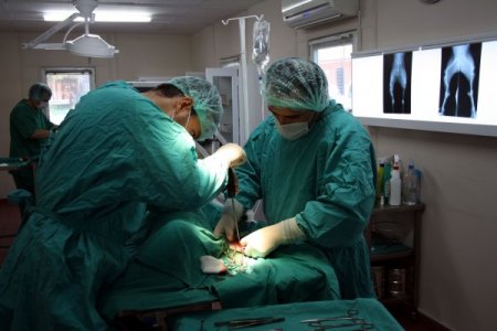 Ayağı Kırılan Sokak Köpeği Ameliyat Edildi