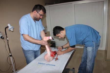 Ayağında parçalı kırık olan flamingo, Bursa'da tedavi edilecek