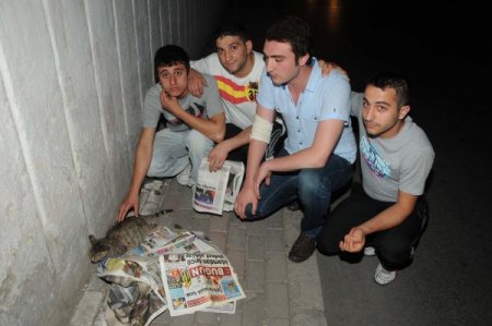 Ayakları Ezilen Kediye Maçdan Dönen Gençler Sahip Çıktı