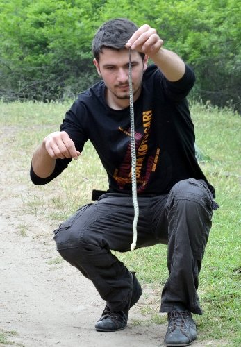 Ayaksız kertenkeleler zehirli yılan zannedilip öldürülüyor