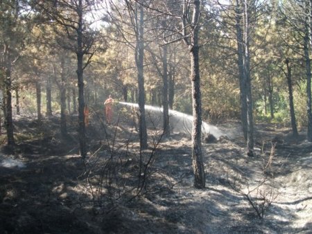 Ayazağa’daki Orman Yangını Söndürüldü