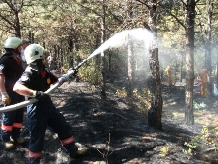 Ayazağa’daki Orman Yangını Söndürüldü