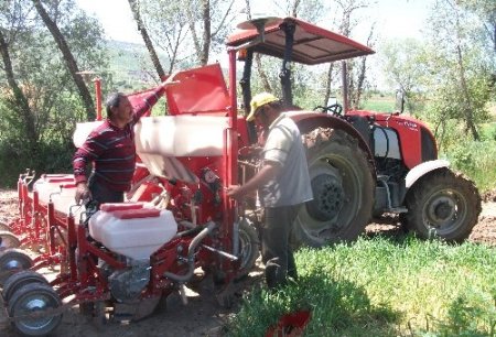 Aydıncık'ta soya fasulyesi üretilecek