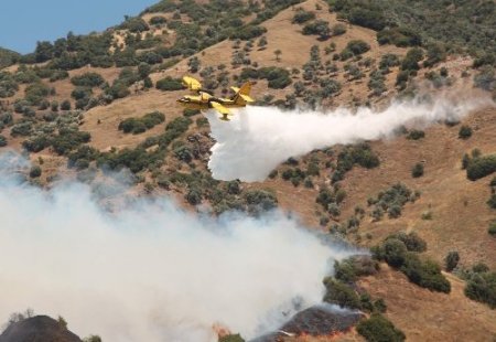 Aydın'daki yangın kısmen kontrol altına alındı