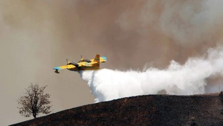 Aydın'daki yangın kısmen kontrol altına alındı