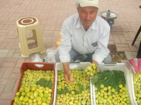 Aydın'ın Adı, 'melli İnciri'nin Tadı Var